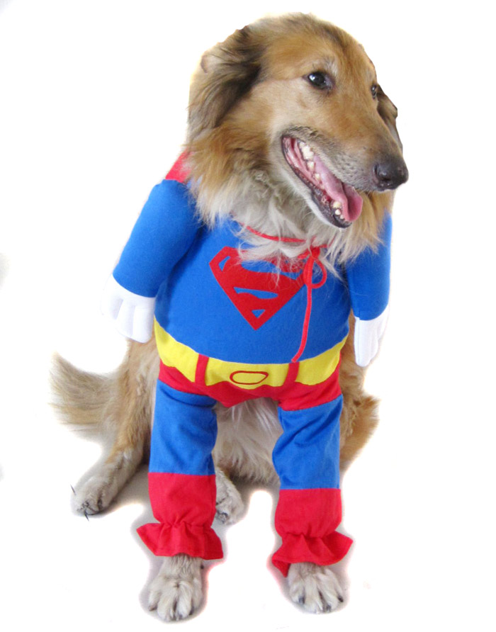 Pet Dog Clothes Costumes Superman