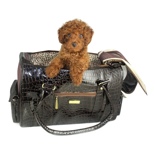 dog carriers Patent leather 4 Colors