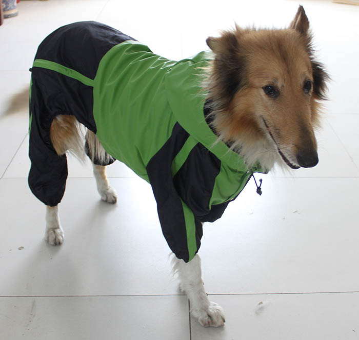 Large Dog Clothes wholesale Dog Raincoat