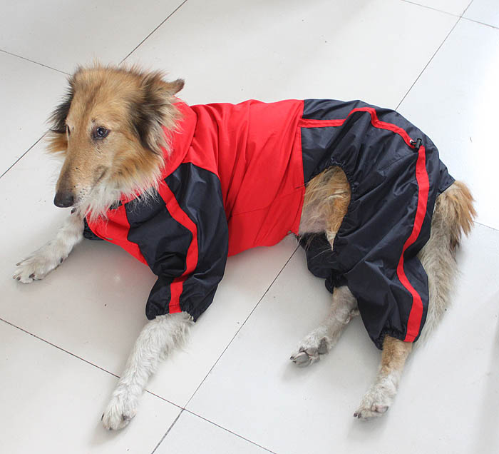 Large Dog Clothes wholesale Dog Raincoat