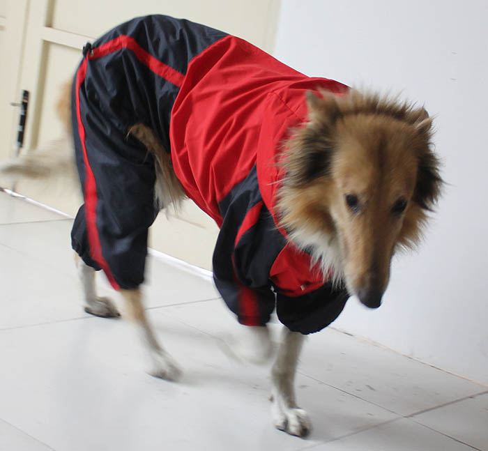 Large Dog Clothes wholesale Dog Raincoat