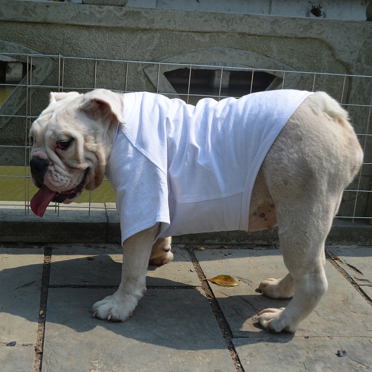 Blank T-shirts for Bulldog