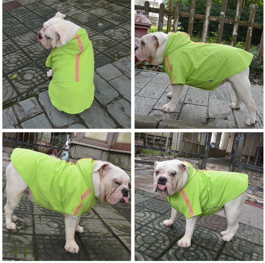 2019 New Dog Raincoat