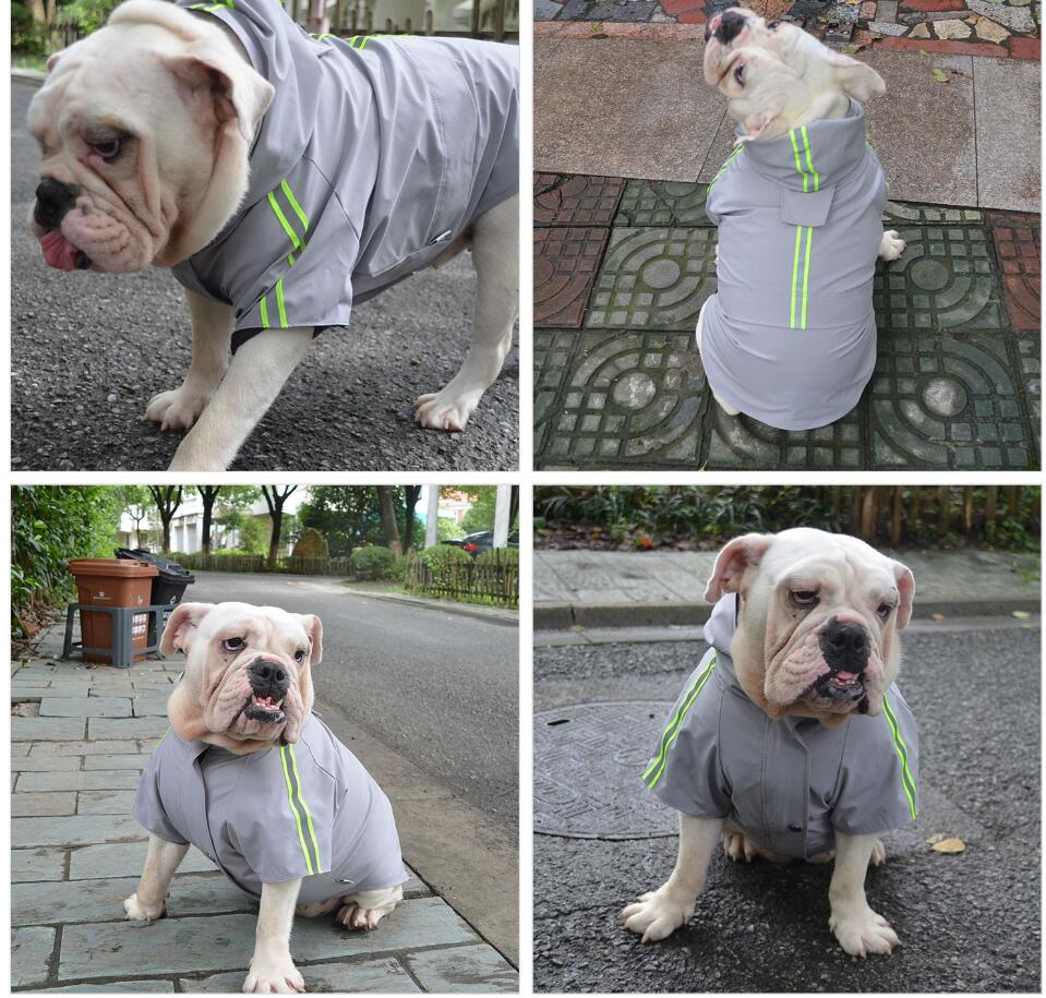 2019 New Dog Raincoat