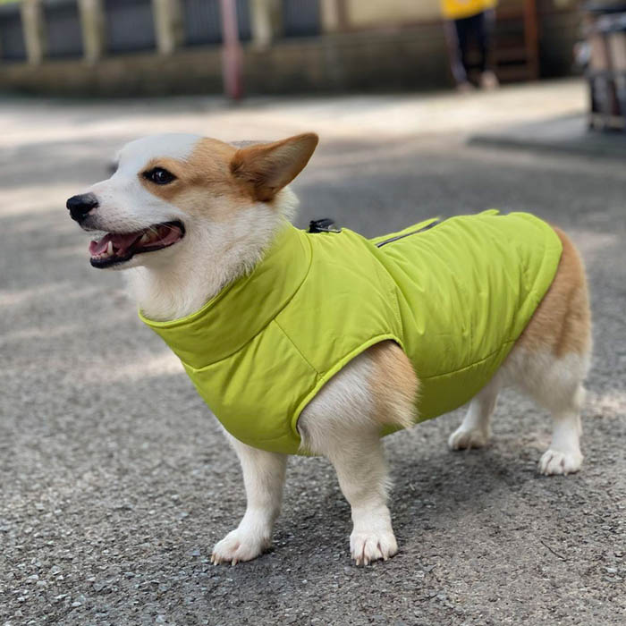 Dog Winter Vest with Cotton Lining