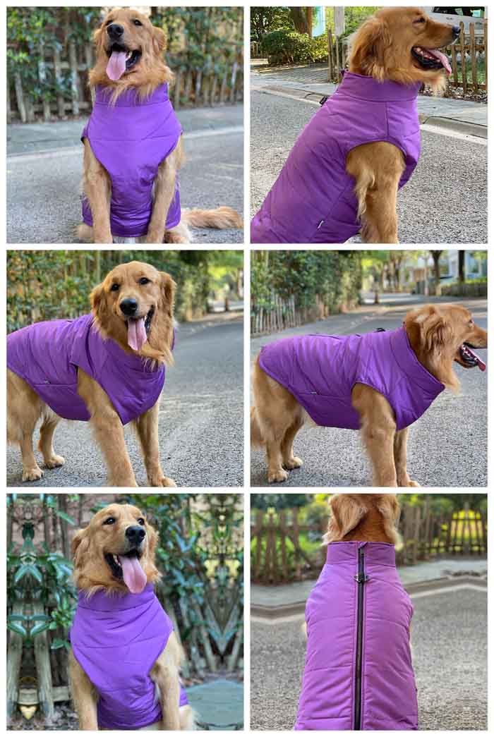 Dog Winter Vest with Cotton Lining