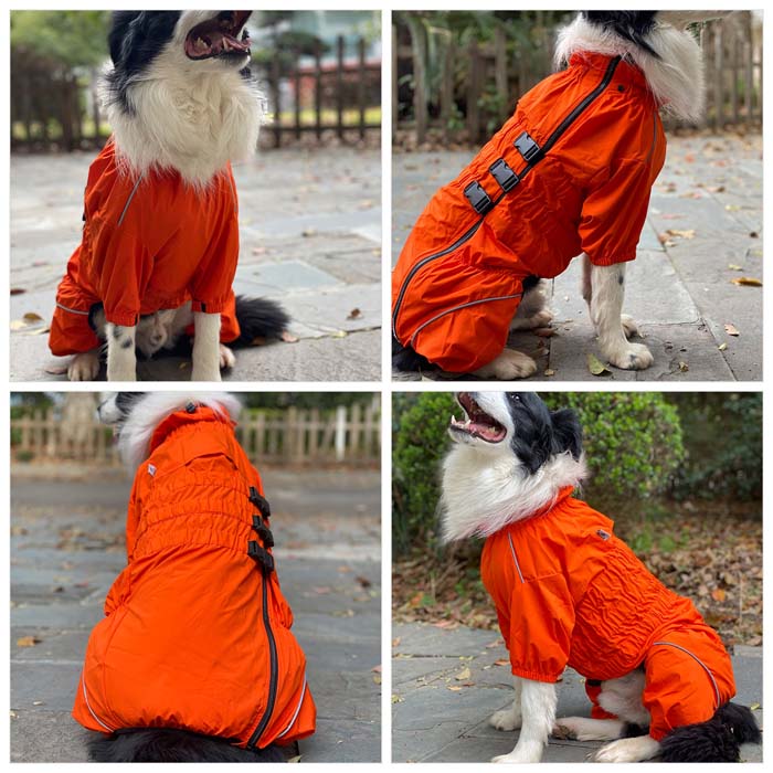 Dogs Waterproof Jacket