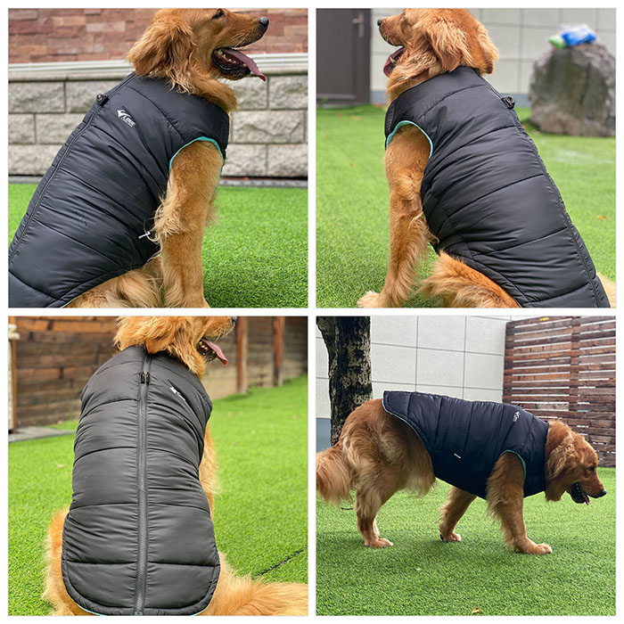 Dog Winter Jacket