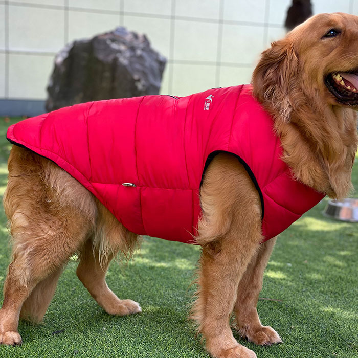 Dog Winter Jacket