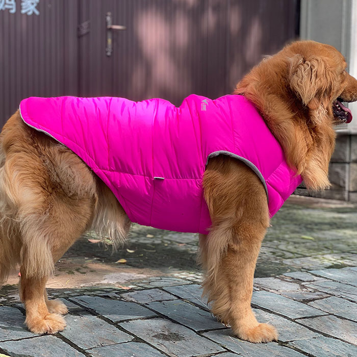 Dog Winter Jacket