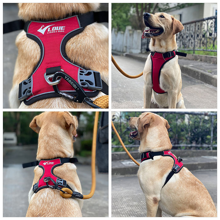 Dog Harness with Safety Reflective Logo