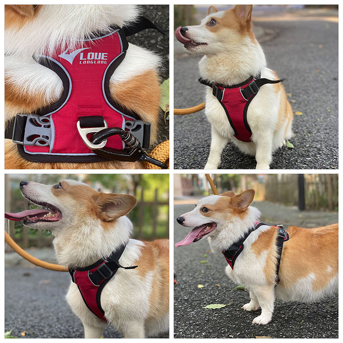 Dog Harness with Safety Reflective Logo