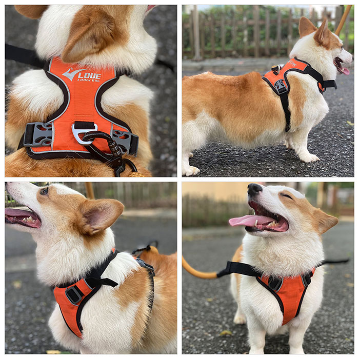 Dog Harness with Safety Reflective Logo