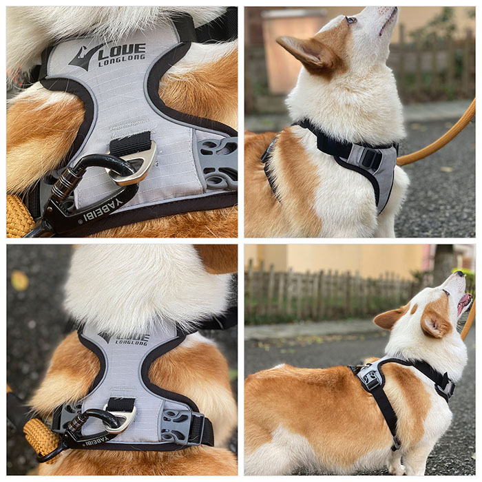 Dog Harness with Safety Reflective Logo